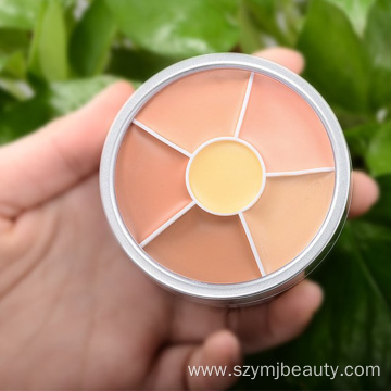 Vegan Cream Makeup Private Label Cosmetics Concealer